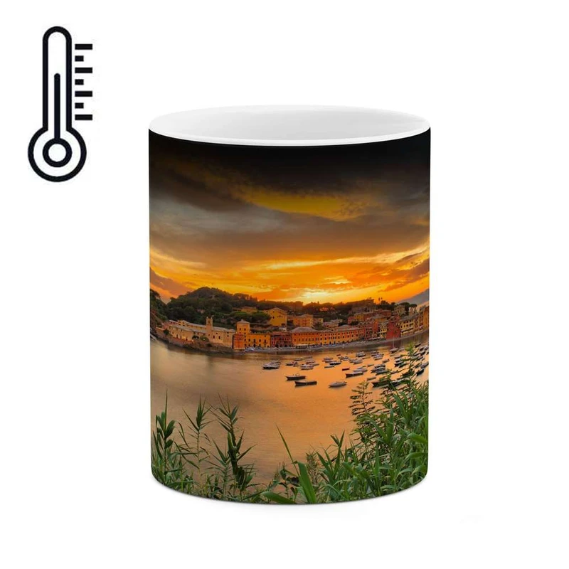 ماگ حرارتی کاکتی مدل منظره کد mgh16454