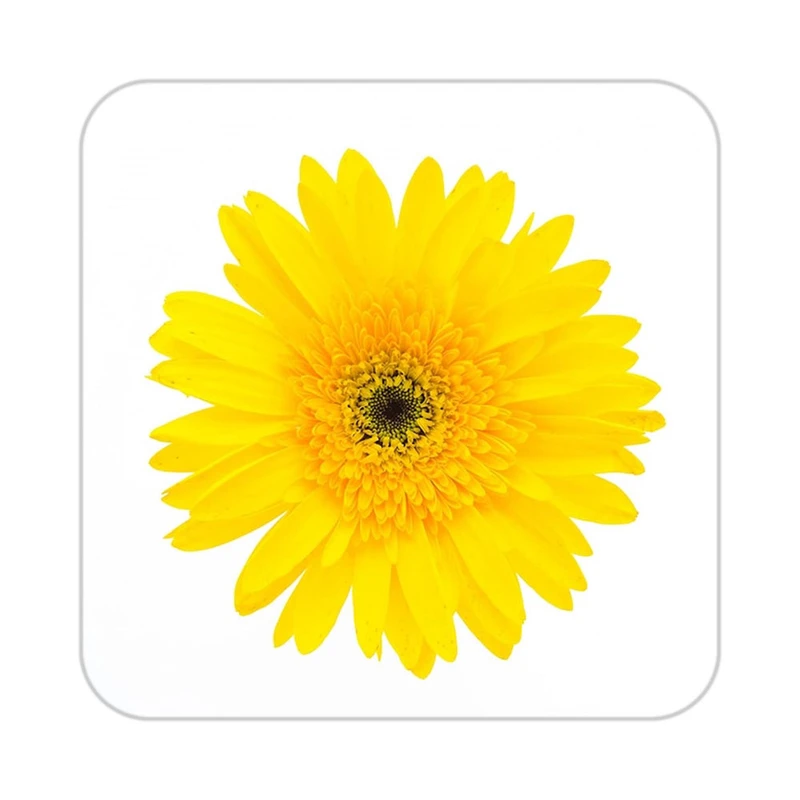 زیر لیوانی کاکتی طرح گل مدل mp19803