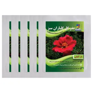 بذر گل ناز آفتابی گلباران سبز بسته 5 عددی