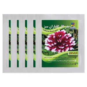 بذر گل کوکب الوان گلباران سبز بسته 5 عددی