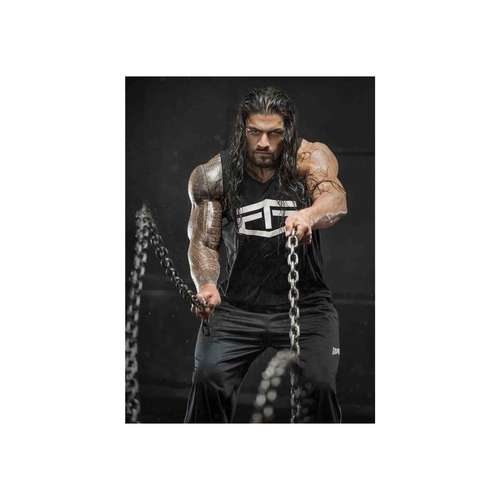 کارت پستال رادکس طرح رومن رینز مدل s1569