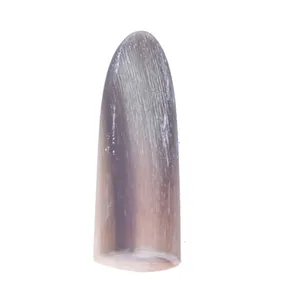 مضراب تار مدل شاخ