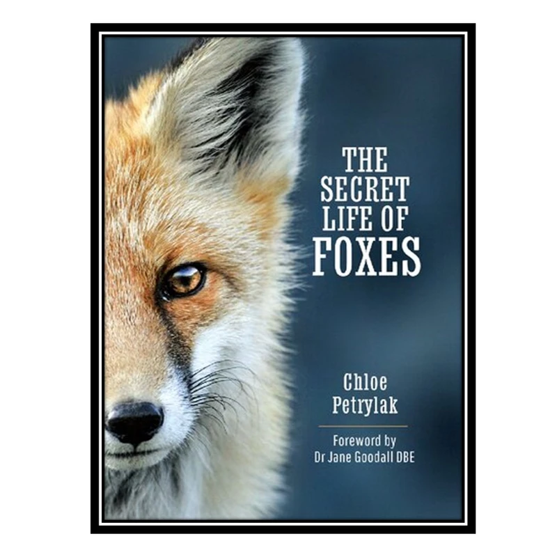 کتاب The Secret Life of Foxes اثر Chloe Petrylak انتشارات مؤلفین طلایی