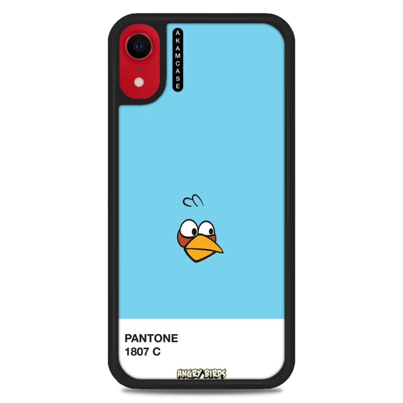 کاور آکام مدل AMC-WAXR-ANGRY BIRDS10 مناسب برای گوشی موبایل اپل iPhone XR