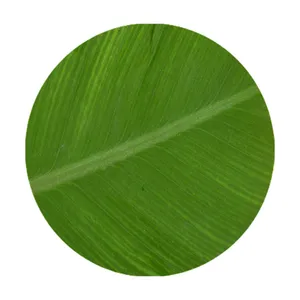 زیرقابلمه ای  طرح برگ کد 8003 