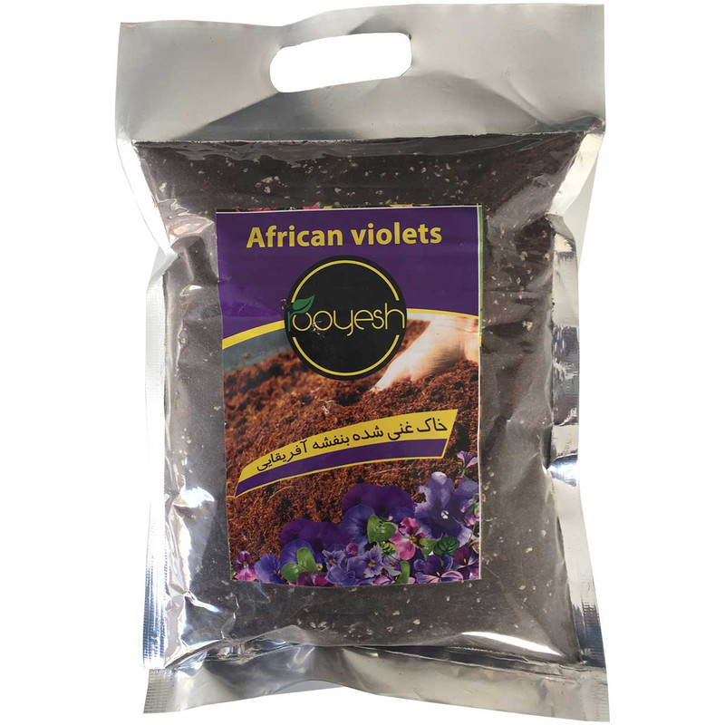 خاک بنفشه آفریقایی رویش بسته یک لیتری