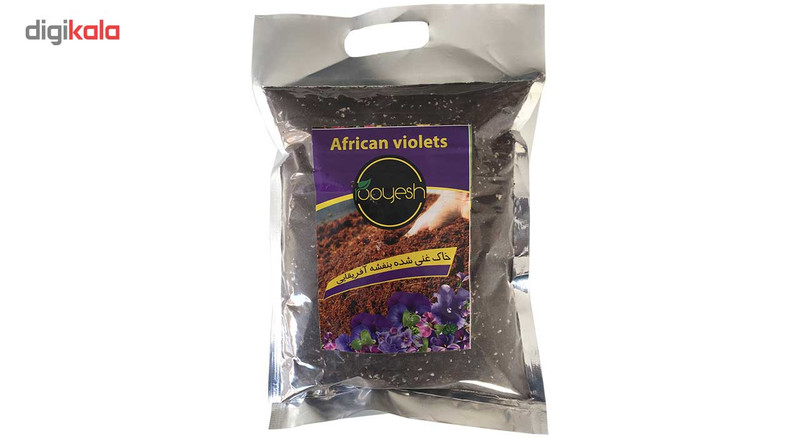 خاک بنفشه آفریقایی رویش بسته یک لیتری