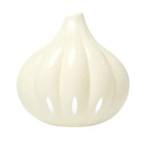 ظرف نگهدارنده سیر مدل Garlic