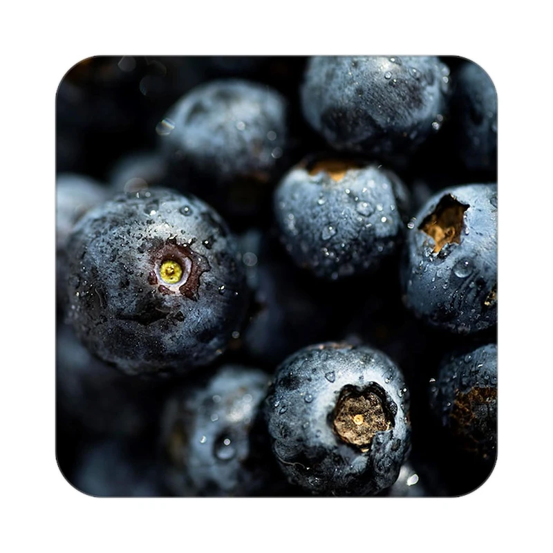 زیر لیوانی کاکتی طرح میوه مدل mp20146