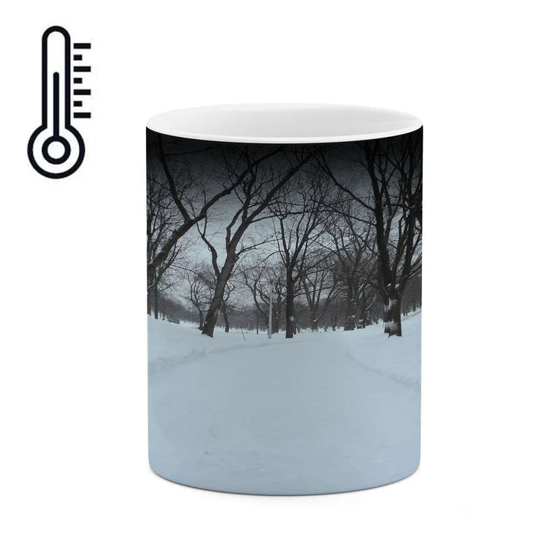 ماگ حرارتی کاکتی مدل منظره برفی کد mgh15076