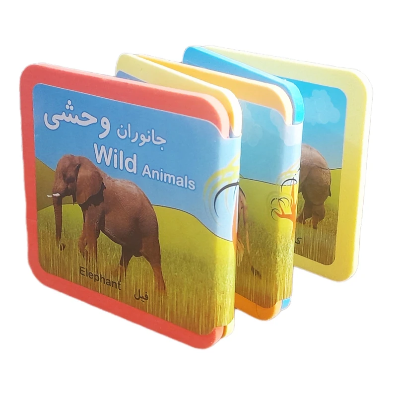 کتاب جانوران وحشی اثر رائد آموزگار و مسعود مستقیم انتشارات فرشتگان