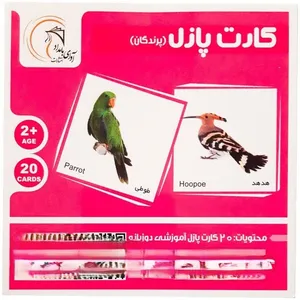 بازی فکری آوای باران مدل کارت پرندگان کد 20