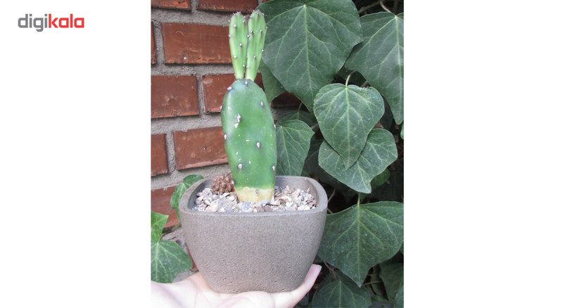 گلدان ثلث دیزاین کد P108