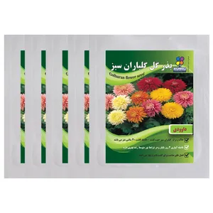  بذر گل داوودی گلباران سبز بسته 5 عددی
