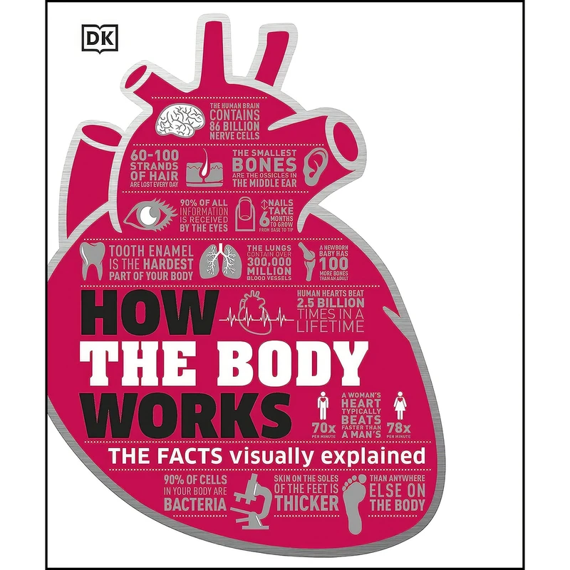 کتاب How The Body Works اثر Bob Boethling انتشارات Dorling Kindersley Ltd