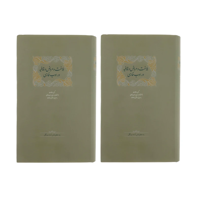 كتاب بلاغت و عروض و قافیه در ادب فارسی اثر آمنه بیدگلی انتشارات سخن 2 جلدي