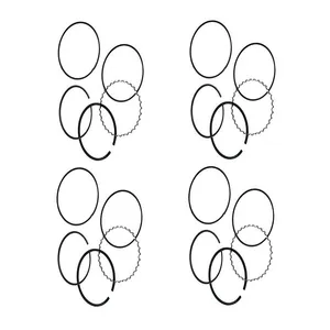 رینگ موتور دیناپارت کد 1611029 مناسب برای پژو 206 تیپ 2 و 3