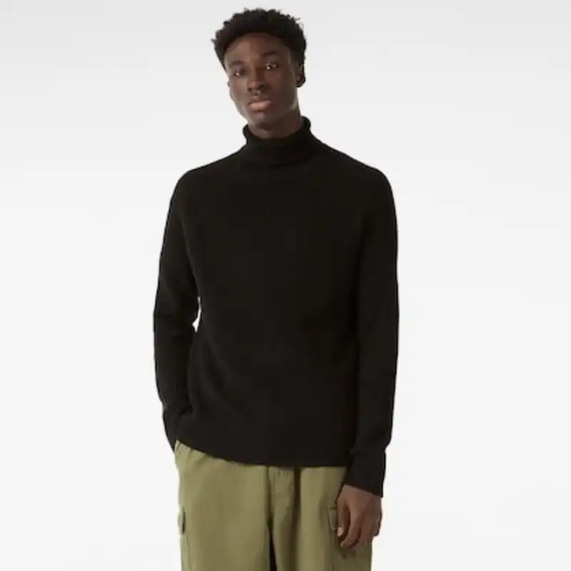 پلیور یقه اسکی مردانه مدل 7517.623.800