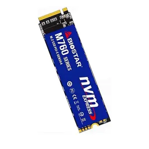 اس اس دی اینترنال بایوستار مدل M760 ظرفیت 512 گیگابایت