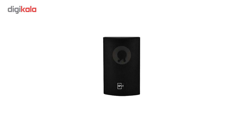 آمپلی فایر هوراند مدل mini 100 به همراه بلند گوی دیواری برند هوراند مدل SH-PACS1510