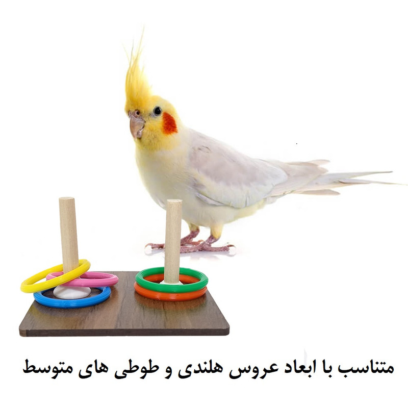 اسباب بازی پرندگان مدل حلقه هوش