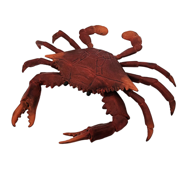 فیگور مدل خرچنگ کد 100