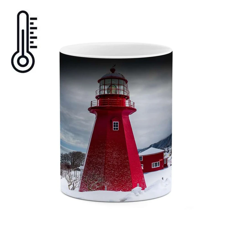 ماگ حرارتی کاکتی مدل فانتزی کد mgh17131