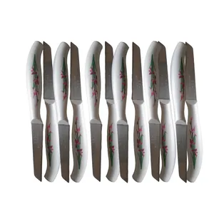 کارد میوه خوری جی.اس.ال طرح گلدار بسته 12 عددی