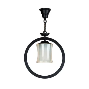 چراغ آویز چشمه نور کد 2694/1