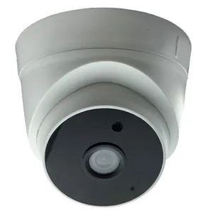 دوربین مداربسته مستر مدل DP