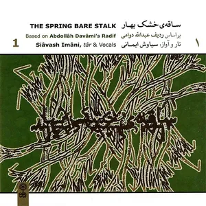 Siavash Imani The Spring Bare Stalk Vacal Music Album