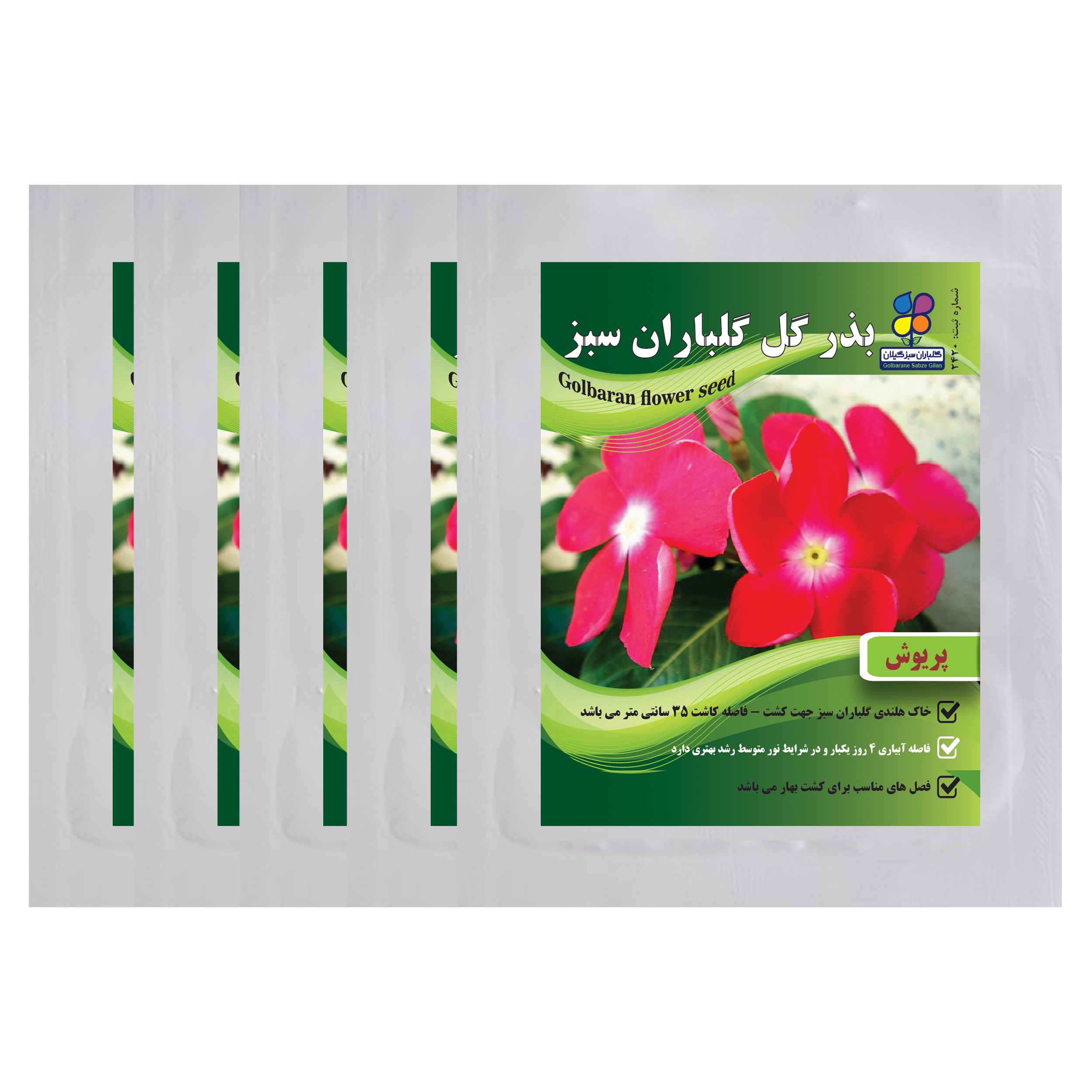  بذر گل پریوش گلباران سبز بسته 5 عددی
