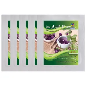  بذر گل دکمه ای گلباران سبز بسته 5 عددی