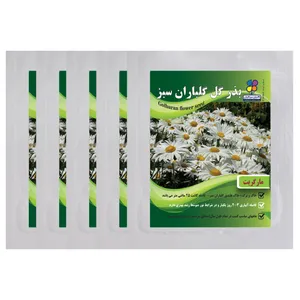  بذر گل مارگریت گلباران سبز بسته 5 عددی