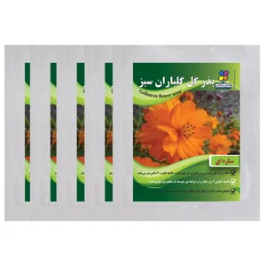  بذر گل ستاره ای گلباران سبز بسته 5 عددی