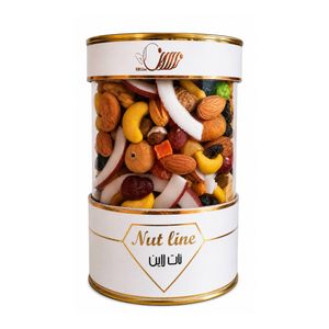آجیل چهارفصل نات لاین - 650 گرم