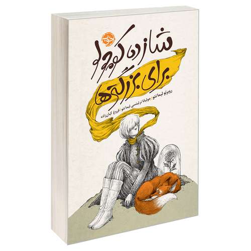 کتاب شازده کوچولو برای بزرگ تر‌ها اثر جولیانا ترلیتسی لیما نتو و روبرتو لیما نتو نشر خوب