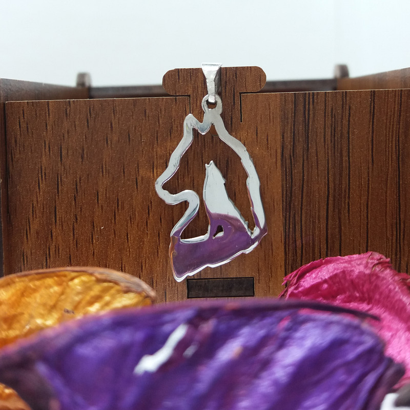 آویز گردنبند نقره مدل گرگ تو در تو