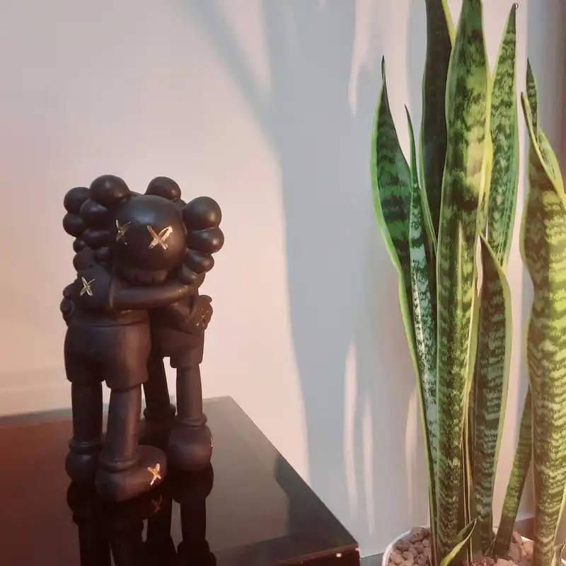 مجسمه مدل کاوز کد C2