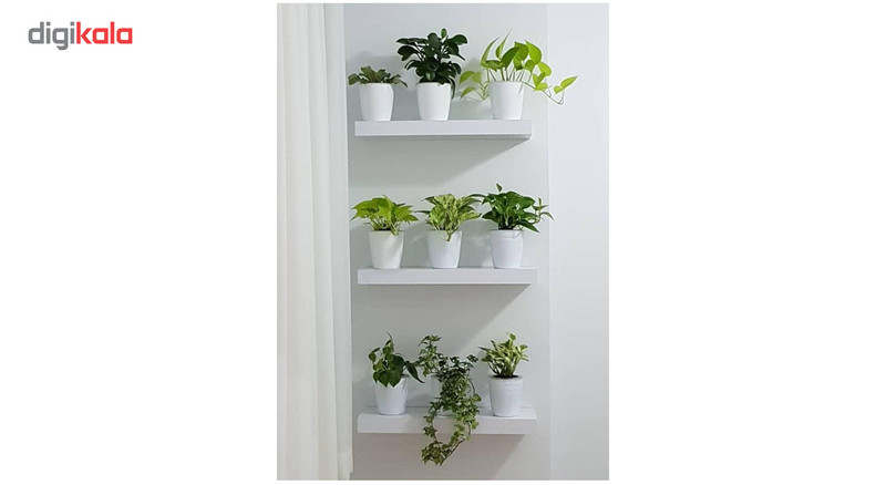 گلدان خودآبرسان گلوین مدل FT1