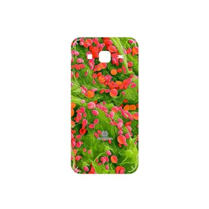 MAHOOT Atom Universe 3 Cover Sticker for Samsung Galaxy J5