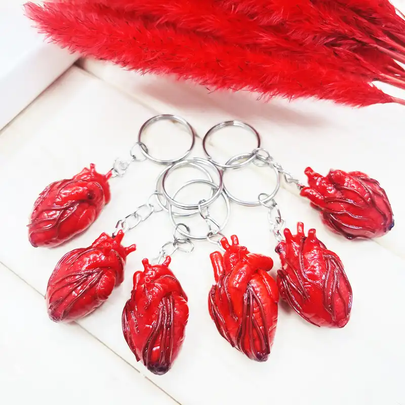 جاکلیدی مدل آناتومی قلب