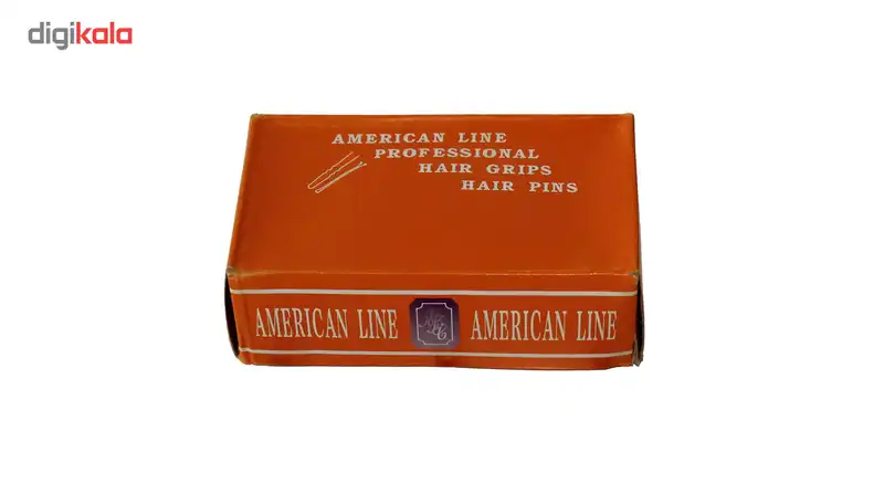 سنجاق مویی جعبه نارنجی مدل شینیون صاف بسته 500 گرمی