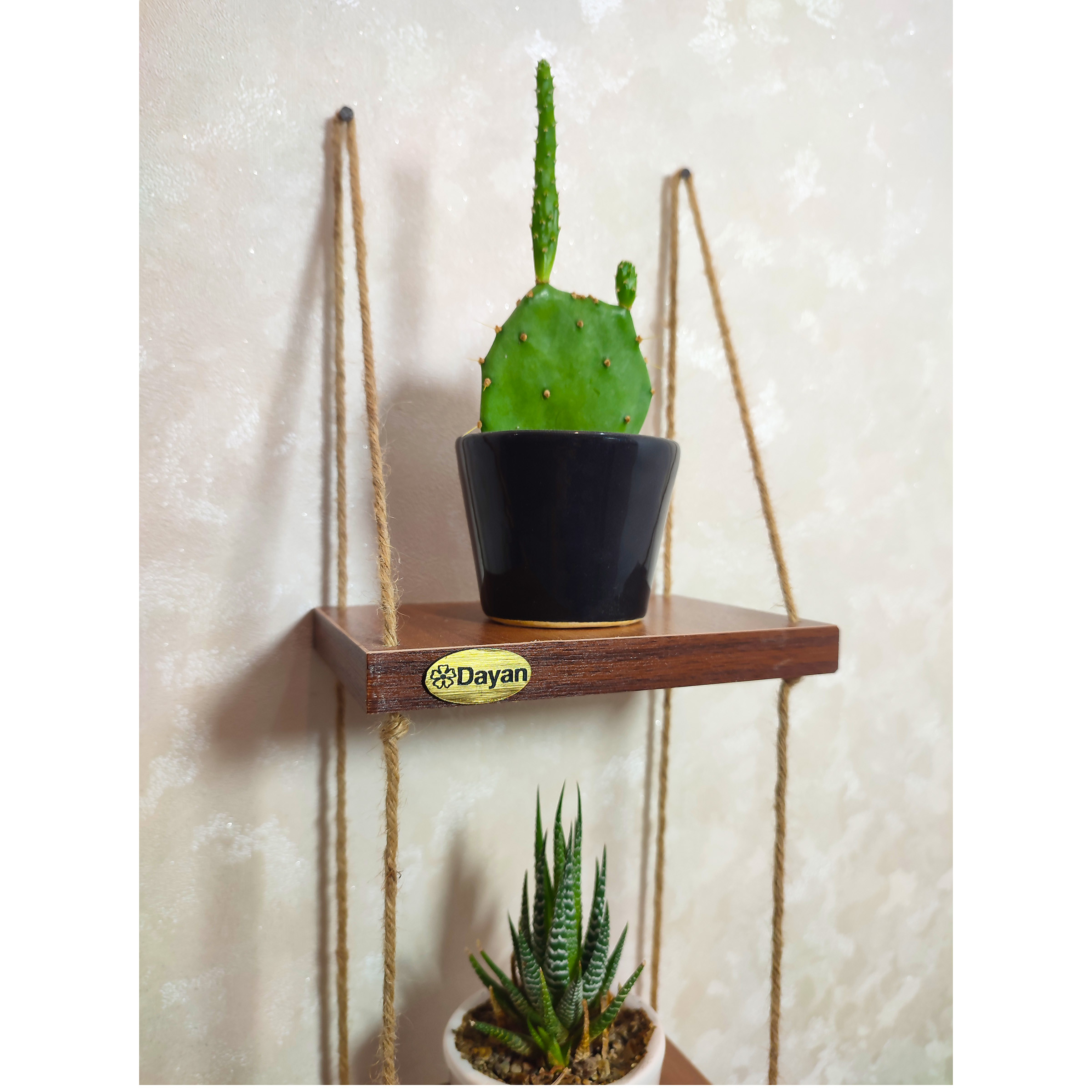 شلف دیواری دایان مدل کاکتوس