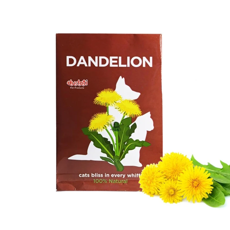 پودر گل دندلیون گربه دودوتی مدل Dandelion Seeds وزن 10 گرم
