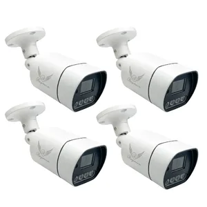 Raymoon Network Surveillance Camera, Model 8 Megapixel, Code 60Q, Package Of Four