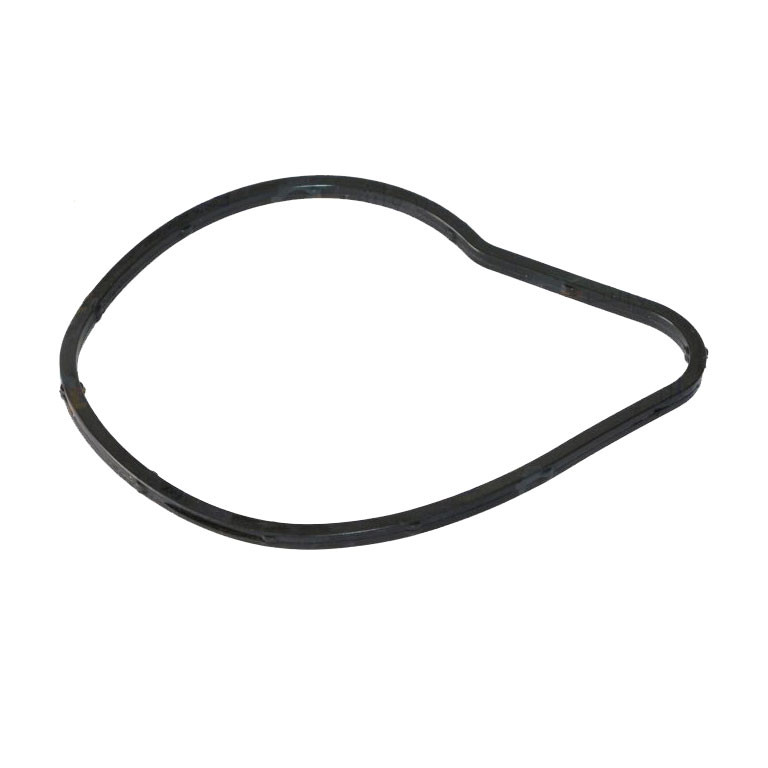 واشر واتر پمپ کد 820444