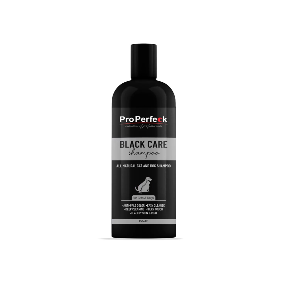 شامپو پروپرفک مدل BlackCare حجم 250 میلی لیتر