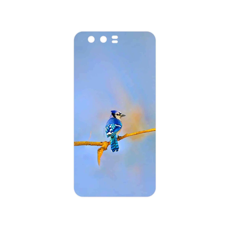 برچسب پوششی ماهوت مدل Cyanocitta cristata مناسب برای گوشی موبایل آنر 9