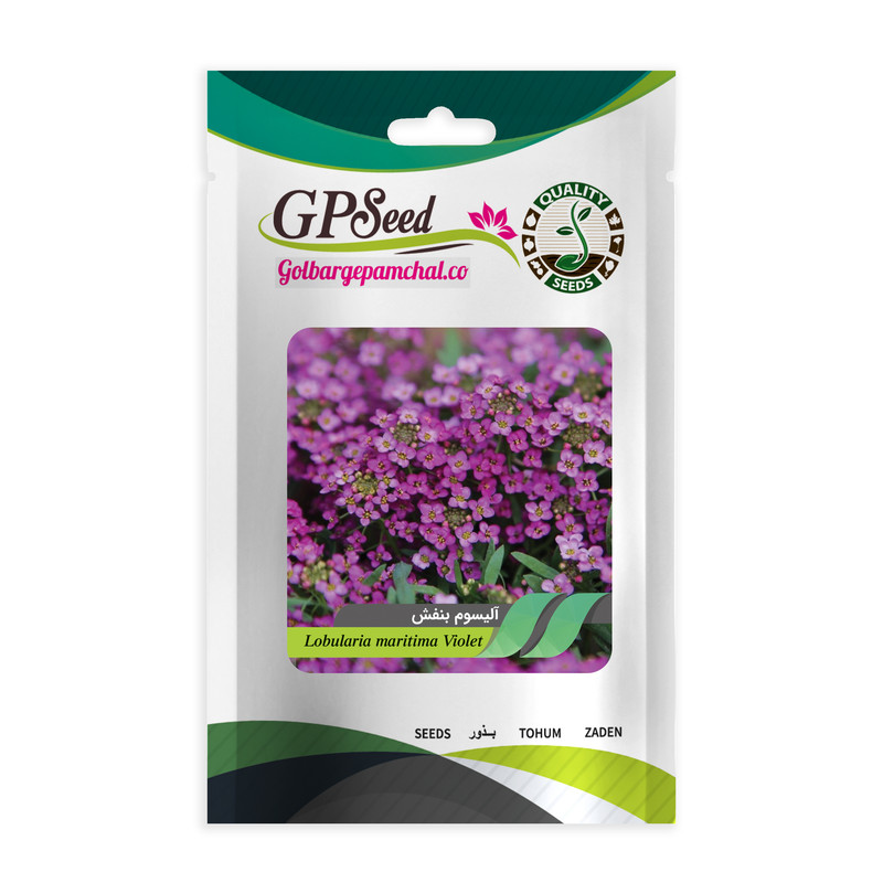 بذر گل آلیسوم بنفش گلبرگ پامچال کد GPF-229